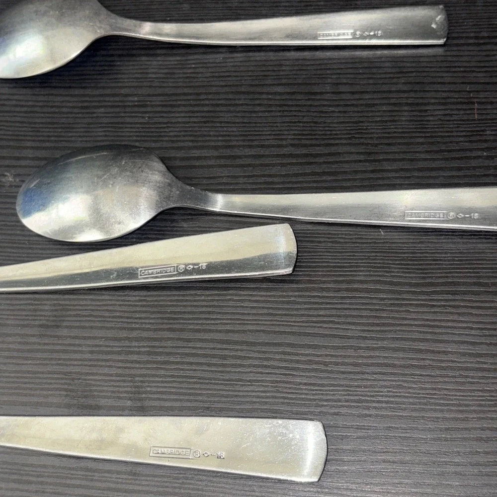 Lot of 4 Cambridge Silver Boa Frost Stainless Flatware Spoons